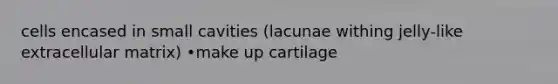 cells encased in small cavities (lacunae withing jelly-like extracellular matrix) •make up cartilage