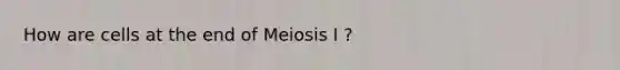 How are cells at the end of Meiosis I ?