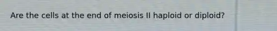 Are the cells at the end of meiosis II haploid or diploid?