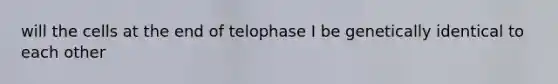 will the cells at the end of telophase I be genetically identical to each other