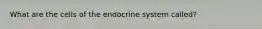 What are the cells of the endocrine system called?