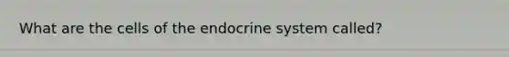 What are the cells of the endocrine system called?