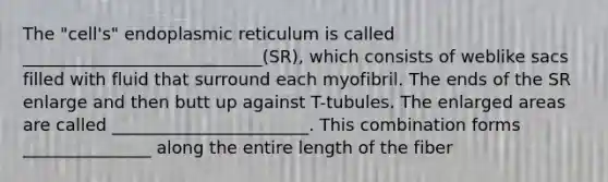 The "cell's" endoplasmic reticulum is called ____________________________(SR), which consists of weblike sacs filled with fluid that surround each myofibril. The ends of the SR enlarge and then butt up against T-tubules. The enlarged areas are called _______________________. This combination forms _______________ along the entire length of the fiber