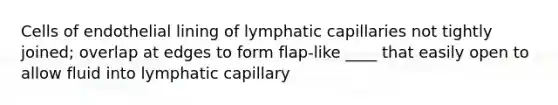 Cells of endothelial lining of lymphatic capillaries not tightly joined; overlap at edges to form flap-like ____ that easily open to allow fluid into lymphatic capillary