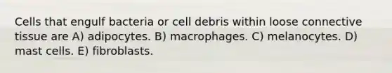 Cells that engulf bacteria or cell debris within loose connective tissue are A) adipocytes. B) macrophages. C) melanocytes. D) mast cells. E) fibroblasts.