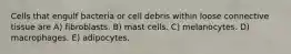 Cells that engulf bacteria or cell debris within loose connective tissue are A) fibroblasts. B) mast cells. C) melanocytes. D) macrophages. E) adipocytes.