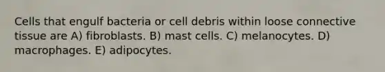 Cells that engulf bacteria or cell debris within loose connective tissue are A) fibroblasts. B) mast cells. C) melanocytes. D) macrophages. E) adipocytes.