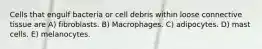 Cells that engulf bacteria or cell debris within loose connective tissue are A) fibroblasts. B) Macrophages. C) adipocytes. D) mast cells. E) melanocytes.