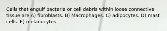 Cells that engulf bacteria or cell debris within loose connective tissue are A) fibroblasts. B) Macrophages. C) adipocytes. D) mast cells. E) melanocytes.