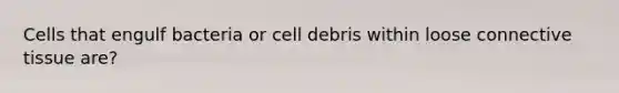 Cells that engulf bacteria or cell debris within loose connective tissue are?