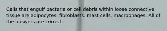 Cells that engulf bacteria or cell debris within loose connective tissue are adipocytes. fibroblasts. mast cells. macrophages. All of the answers are correct.