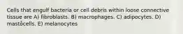 Cells that engulf bacteria or cell debris within loose connective tissue are A) fibroblasts. B) macrophages. C) adipocytes. D) mastȱcells. E) melanocytes