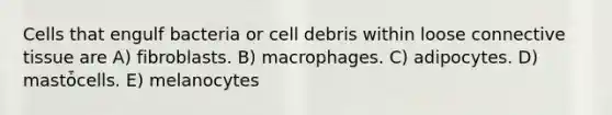 Cells that engulf bacteria or cell debris within loose connective tissue are A) fibroblasts. B) macrophages. C) adipocytes. D) mastȱcells. E) melanocytes