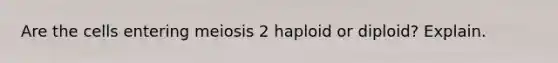 Are the cells entering meiosis 2 haploid or diploid? Explain.