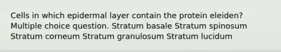 Cells in which epidermal layer contain the protein eleiden? Multiple choice question. Stratum basale Stratum spinosum Stratum corneum Stratum granulosum Stratum lucidum