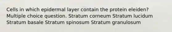 Cells in which epidermal layer contain the protein eleiden? Multiple choice question. Stratum corneum Stratum lucidum Stratum basale Stratum spinosum Stratum granulosum