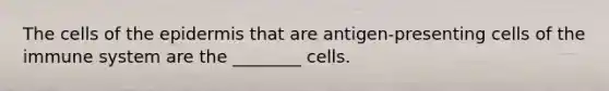 The cells of the epidermis that are antigen-presenting cells of the immune system are the ________ cells.