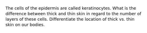 The cells of the epidermis are called keratinocytes. What is the difference between thick and thin skin in regard to the number of layers of these cells. Differentiate the location of thick vs. thin skin on our bodies.