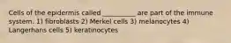 Cells of the epidermis called __________ are part of the immune system. 1) fibroblasts 2) Merkel cells 3) melanocytes 4) Langerhans cells 5) keratinocytes