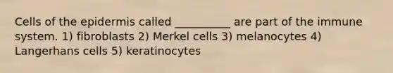 Cells of <a href='https://www.questionai.com/knowledge/kBFgQMpq6s-the-epidermis' class='anchor-knowledge'>the epidermis</a> called __________ are part of the immune system. 1) fibroblasts 2) Merkel cells 3) melanocytes 4) Langerhans cells 5) keratinocytes