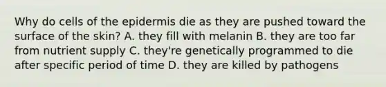 Why do cells of the epidermis die as they are pushed toward the surface of the skin? A. they fill with melanin B. they are too far from nutrient supply C. they're genetically programmed to die after specific period of time D. they are killed by pathogens