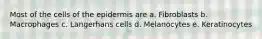 Most of the cells of the epidermis are a. Fibroblasts b. Macrophages c. Langerhans cells d. Melanocytes e. Keratinocytes