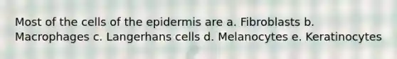 Most of the cells of <a href='https://www.questionai.com/knowledge/kBFgQMpq6s-the-epidermis' class='anchor-knowledge'>the epidermis</a> are a. Fibroblasts b. Macrophages c. Langerhans cells d. Melanocytes e. Keratinocytes