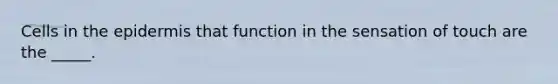 Cells in <a href='https://www.questionai.com/knowledge/kBFgQMpq6s-the-epidermis' class='anchor-knowledge'>the epidermis</a> that function in the sensation of touch are the _____.