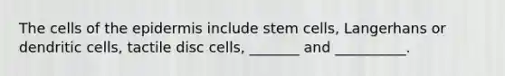 The cells of the epidermis include stem cells, Langerhans or dendritic cells, tactile disc cells, _______ and __________.