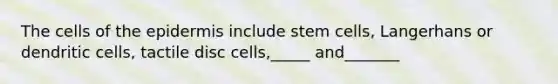 The cells of the epidermis include stem cells, Langerhans or dendritic cells, tactile disc cells,_____ and_______