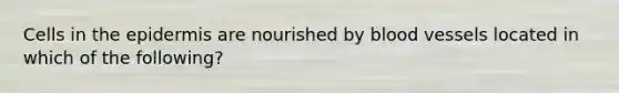 Cells in the epidermis are nourished by blood vessels located in which of the following?