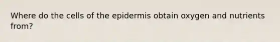 Where do the cells of the epidermis obtain oxygen and nutrients from?