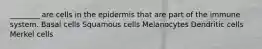 ________ are cells in the epidermis that are part of the immune system. Basal cells Squamous cells Melanocytes Dendritic cells Merkel cells