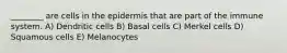 ________ are cells in the epidermis that are part of the immune system. A) Dendritic cells B) Basal cells C) Merkel cells D) Squamous cells E) Melanocytes