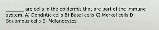 ________ are cells in <a href='https://www.questionai.com/knowledge/kBFgQMpq6s-the-epidermis' class='anchor-knowledge'>the epidermis</a> that are part of the immune system. A) Dendritic cells B) Basal cells C) Merkel cells D) Squamous cells E) Melanocytes