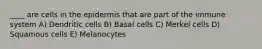 ____ are cells in the epidermis that are part of the immune system A) Dendritic cells B) Basal cells C) Merkel cells D) Squamous cells E) Melanocytes