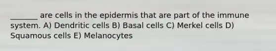 _______ are cells in the epidermis that are part of the immune system. A) Dendritic cells B) Basal cells C) Merkel cells D) Squamous cells E) Melanocytes