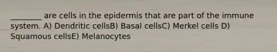 ________ are cells in the epidermis that are part of the immune system. A) Dendritic cellsB) Basal cellsC) Merkel cells D) Squamous cellsE) Melanocytes