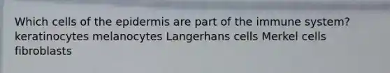 Which cells of <a href='https://www.questionai.com/knowledge/kBFgQMpq6s-the-epidermis' class='anchor-knowledge'>the epidermis</a> are part of the immune system? keratinocytes melanocytes Langerhans cells Merkel cells fibroblasts