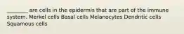 ________ are cells in the epidermis that are part of the immune system. Merkel cells Basal cells Melanocytes Dendritic cells Squamous cells