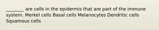 ________ are cells in the epidermis that are part of the immune system. Merkel cells Basal cells Melanocytes Dendritic cells Squamous cells