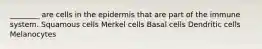 ________ are cells in the epidermis that are part of the immune system. Squamous cells Merkel cells Basal cells Dendritic cells Melanocytes