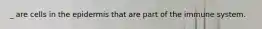 _ are cells in the epidermis that are part of the immune system.