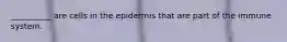 __________ are cells in the epidermis that are part of the immune system.