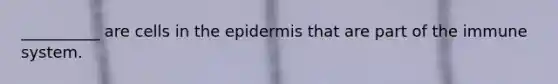 __________ are cells in the epidermis that are part of the immune system.