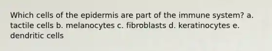 Which cells of the epidermis are part of the immune system? a. tactile cells b. melanocytes c. fibroblasts d. keratinocytes e. dendritic cells