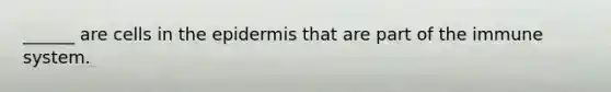 ______ are cells in <a href='https://www.questionai.com/knowledge/kBFgQMpq6s-the-epidermis' class='anchor-knowledge'>the epidermis</a> that are part of the immune system.