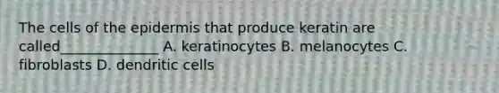 The cells of the epidermis that produce keratin are called______________ A. keratinocytes B. melanocytes C. fibroblasts D. dendritic cells