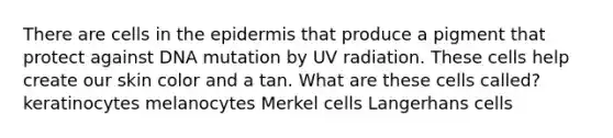 There are cells in the epidermis that produce a pigment that protect against DNA mutation by UV radiation. These cells help create our skin color and a tan. What are these cells called? keratinocytes melanocytes Merkel cells Langerhans cells