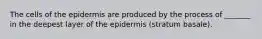 The cells of the epidermis are produced by the process of _______ in the deepest layer of the epidermis (stratum basale).